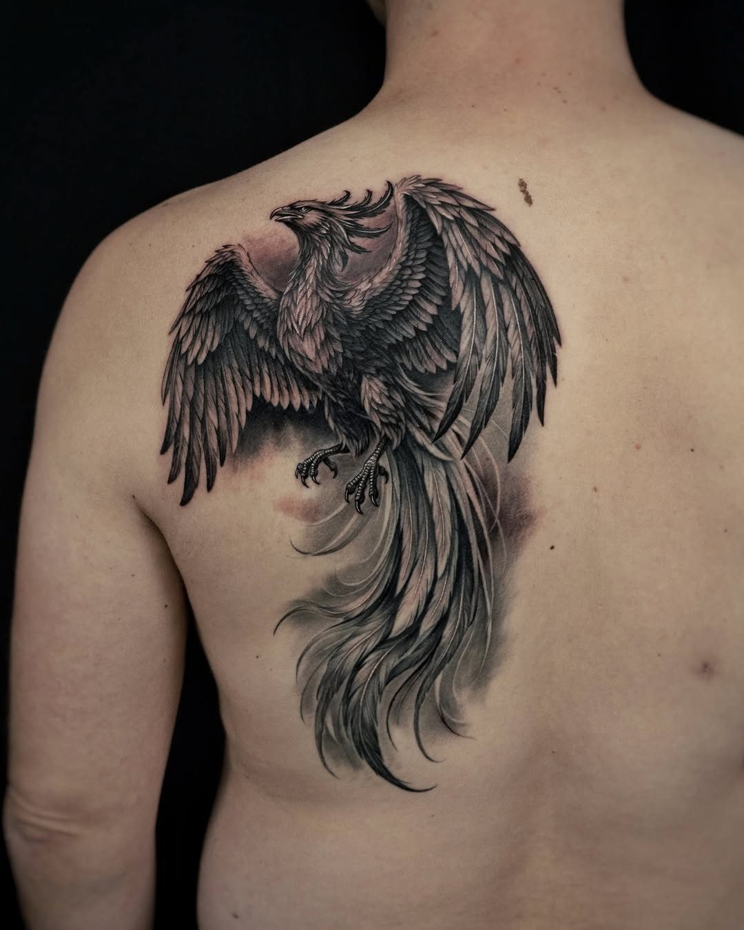Phoenix tattoo with detailed wings and tail on a man's upper back