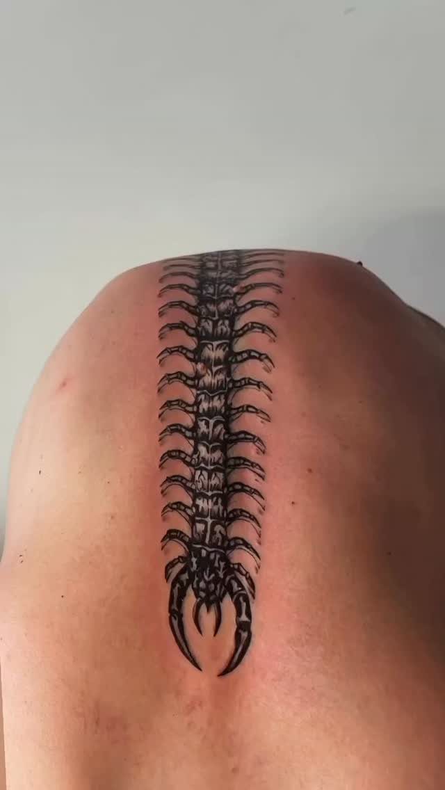 Centipede tattoo running vertically down the center of a person's spine and back.