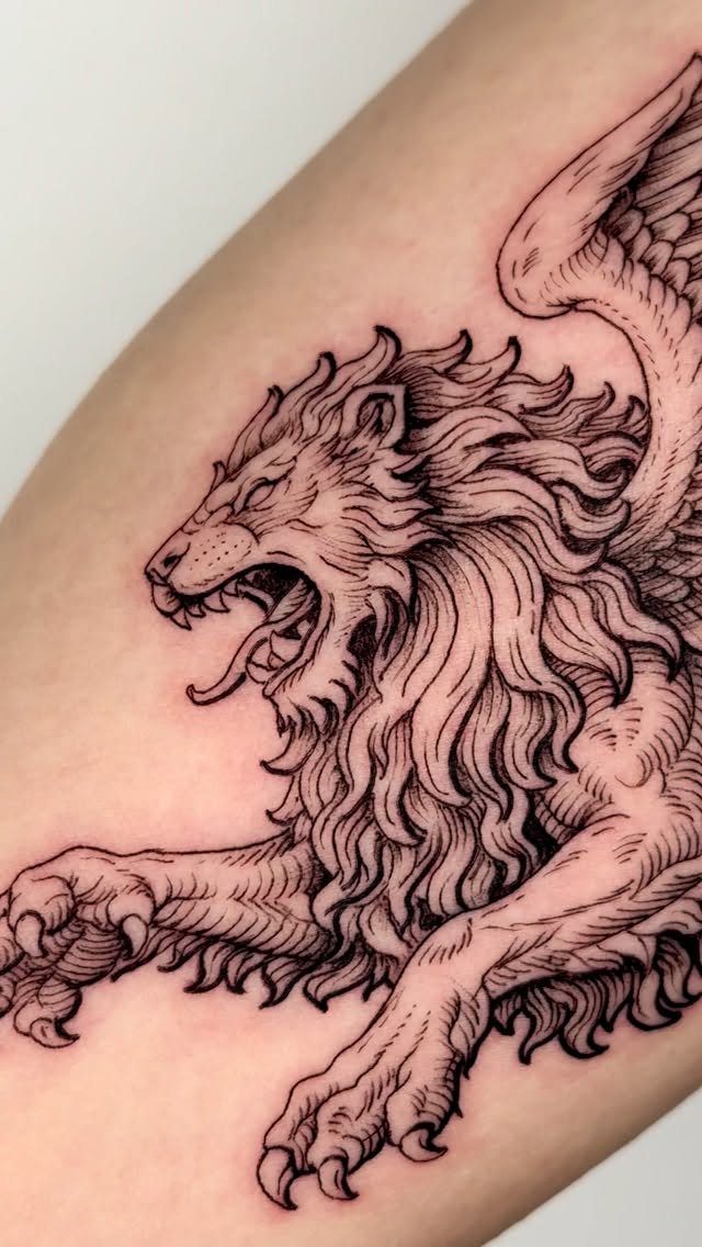 Winged lion tattoo with detailed black ink lines on a person's upper arm.