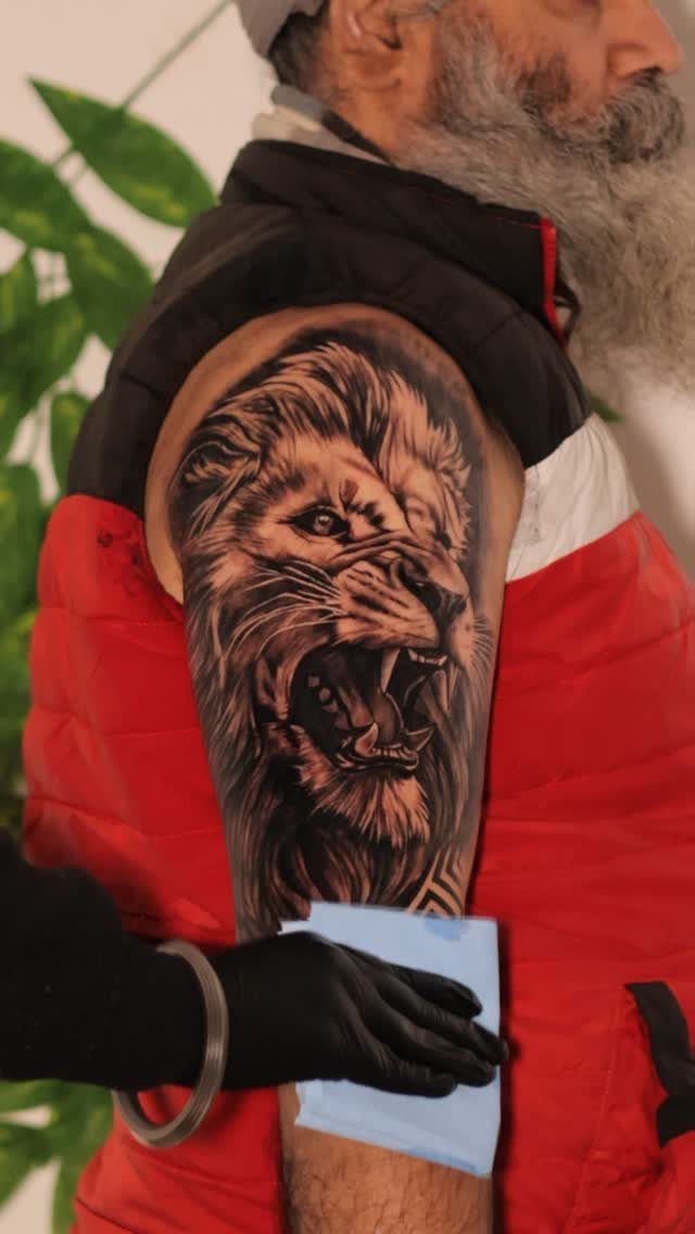 Roaring lion tattoo on a man's bicep being wiped with a blue towel