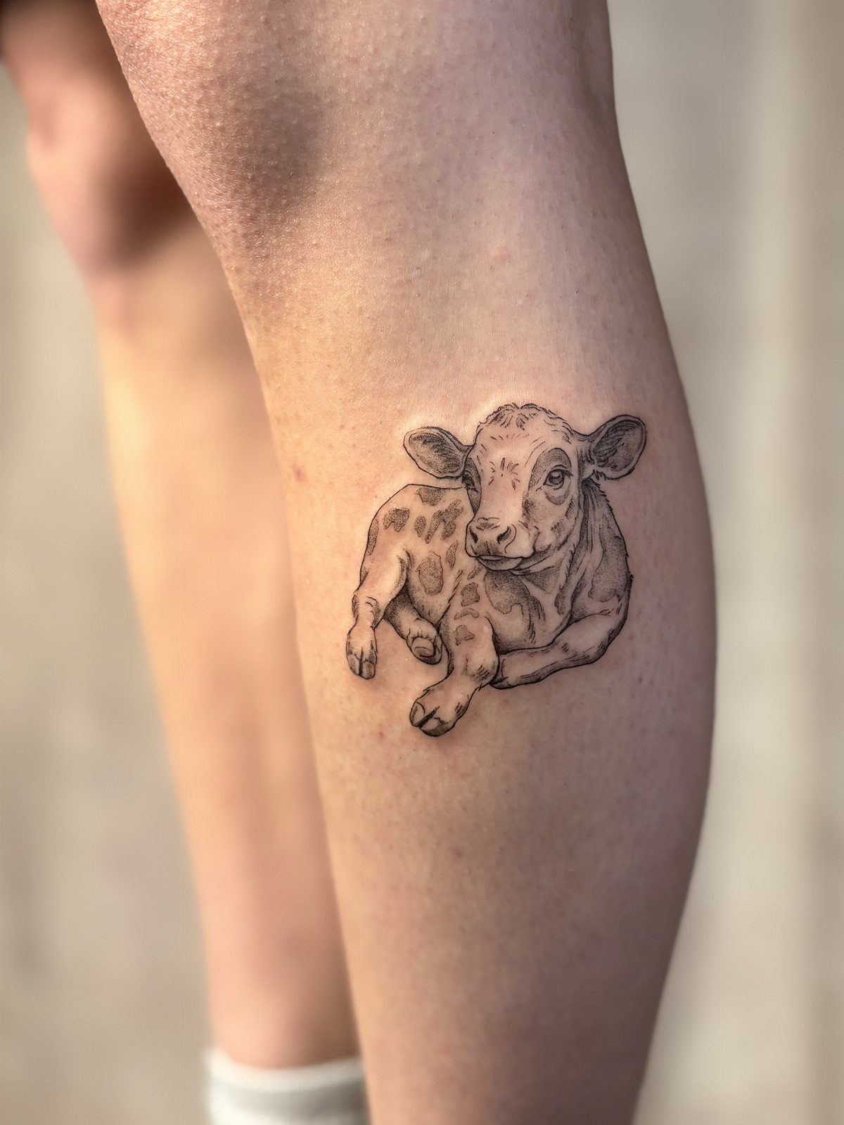 Calf tattoo of a baby cow on a person's lower leg