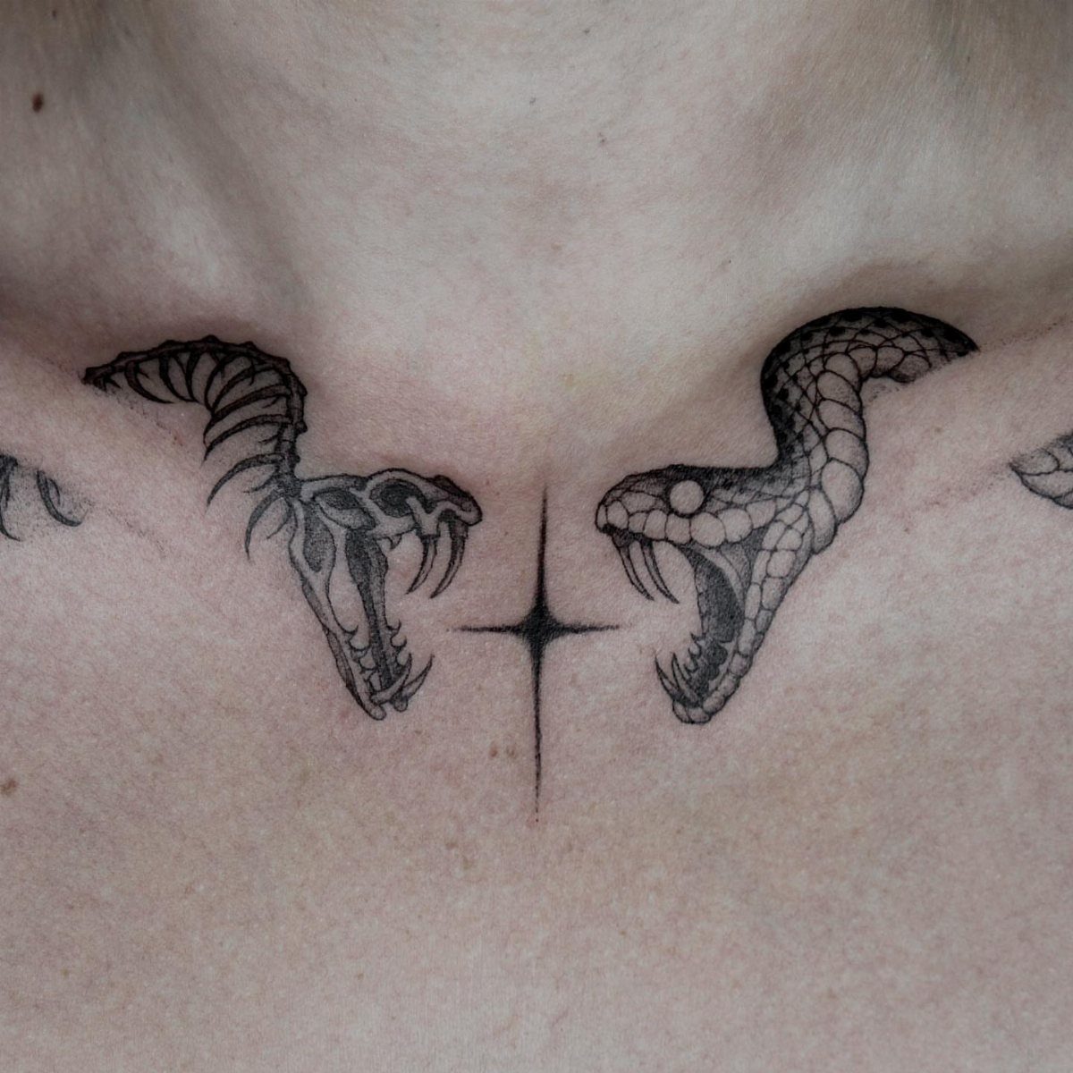 Skeletal and living snake head tattoos facing each other on a person's collarbone.