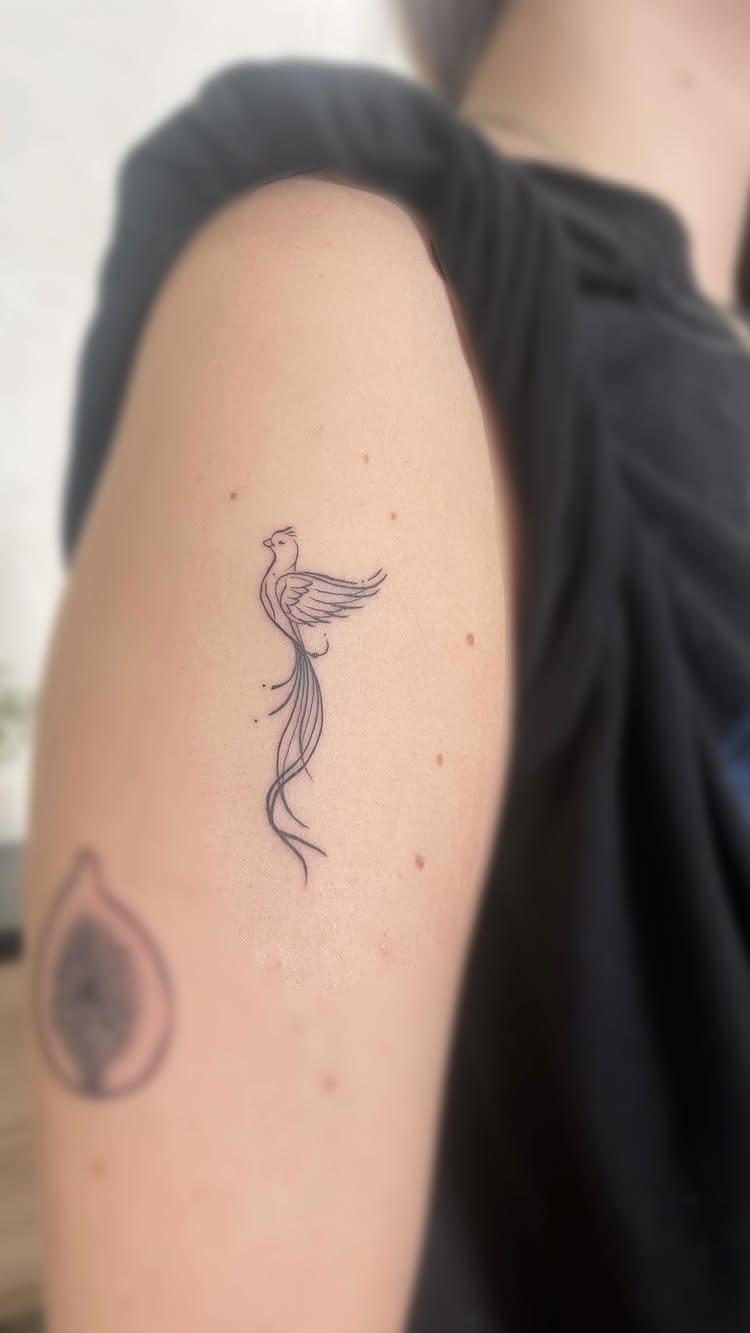 Fine line bird tattoo with a long tail on a person's upper arm.