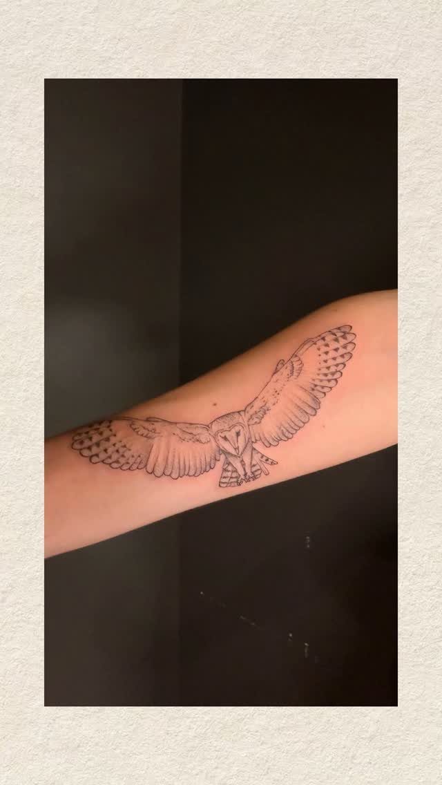 Fine line owl tattoo with open wings on a person's forearm.