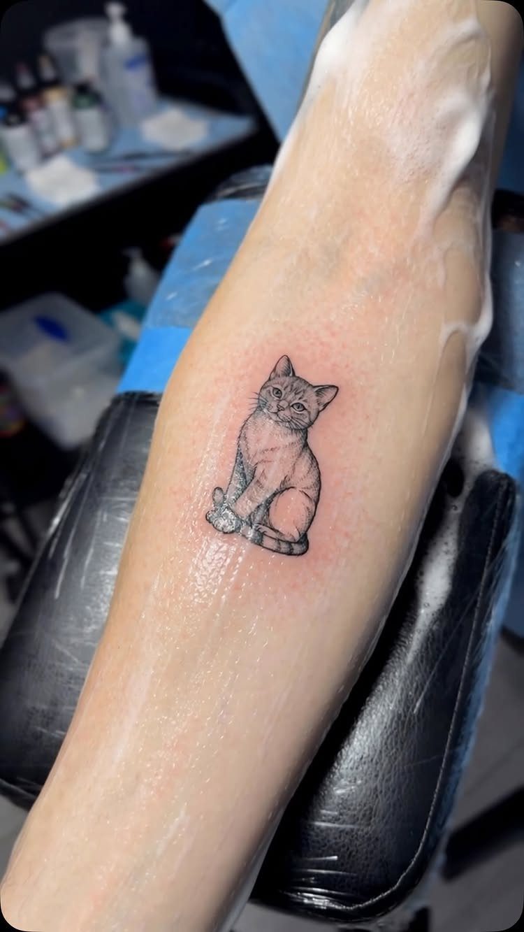 Small fine line tattoo of a sitting cat on a person's forearm