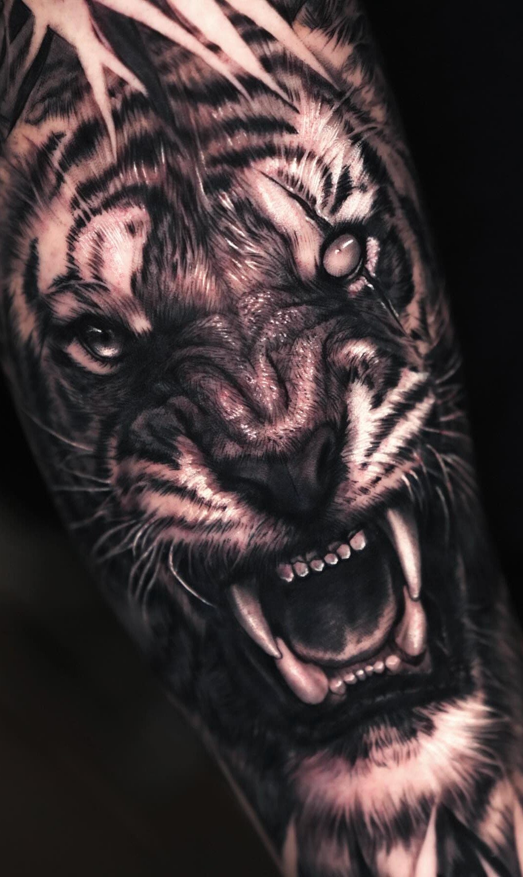 Roaring tiger tattoo in black and grey ink on a man's forearm.
