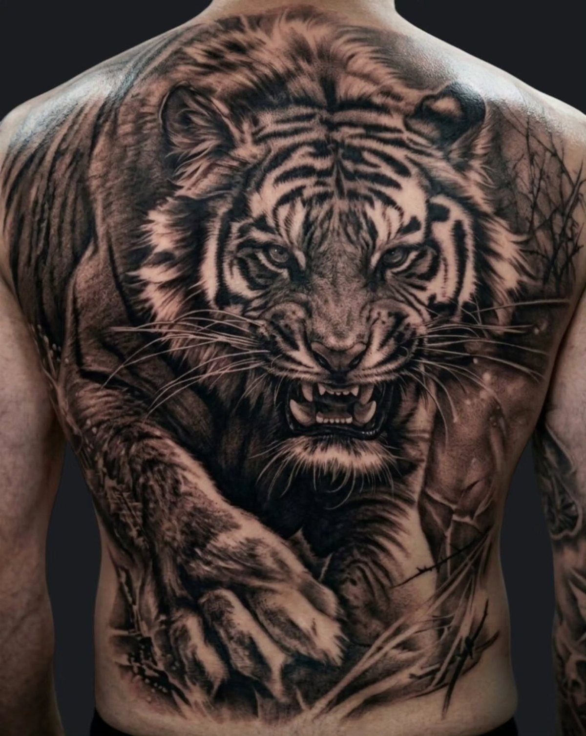 Tiger tattoo covering a man's full back in black and grey realism style.