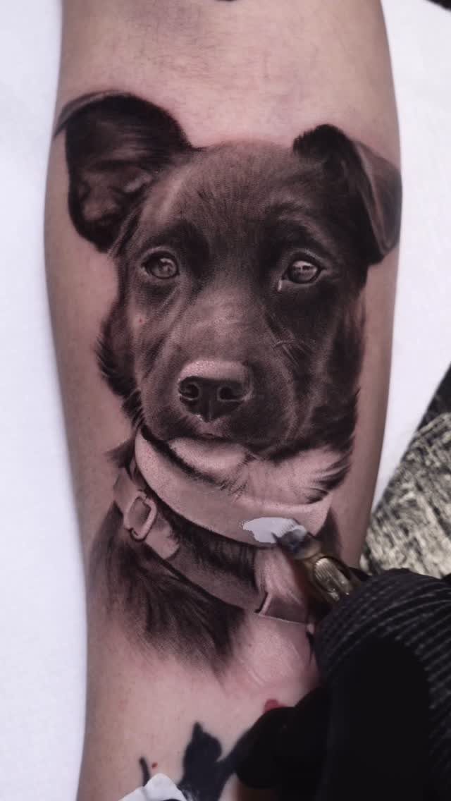 Realistic black and grey dog portrait tattoo on a person's inner forearm.