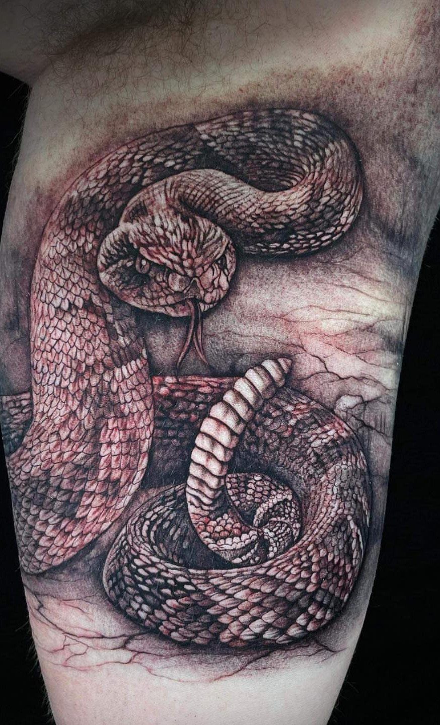 Coiled snake tattoo with detailed scales on a man's inner bicep arm.