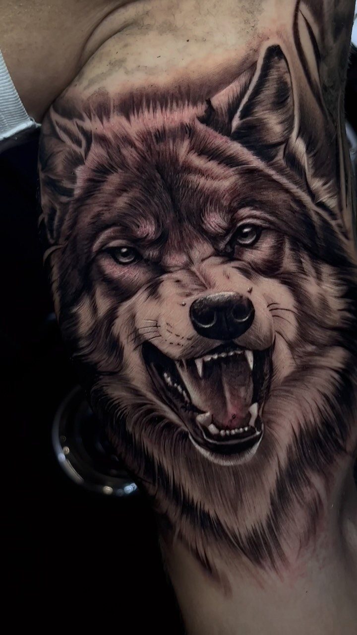 Wolf head tattoo with snarling expression on a man's inner bicep arm.