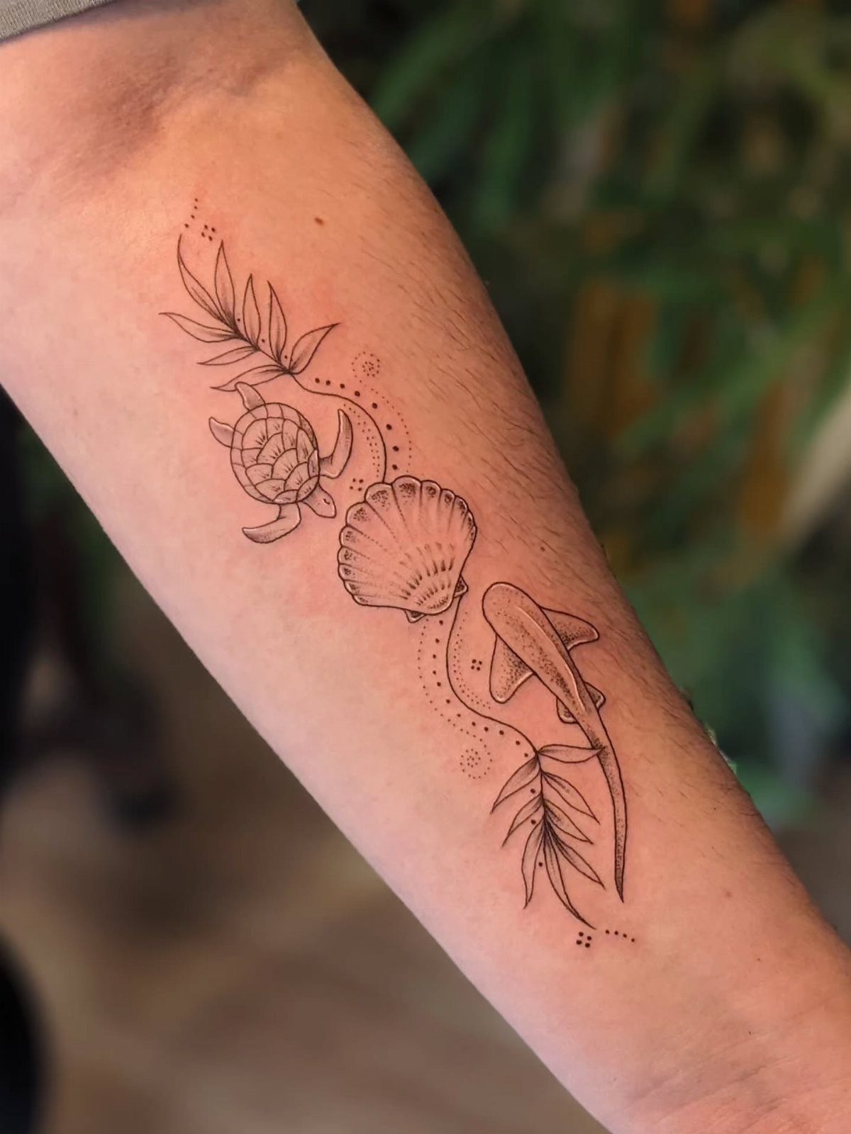 Sea turtle, seashell, and shark tattoo on a person's inner forearm.