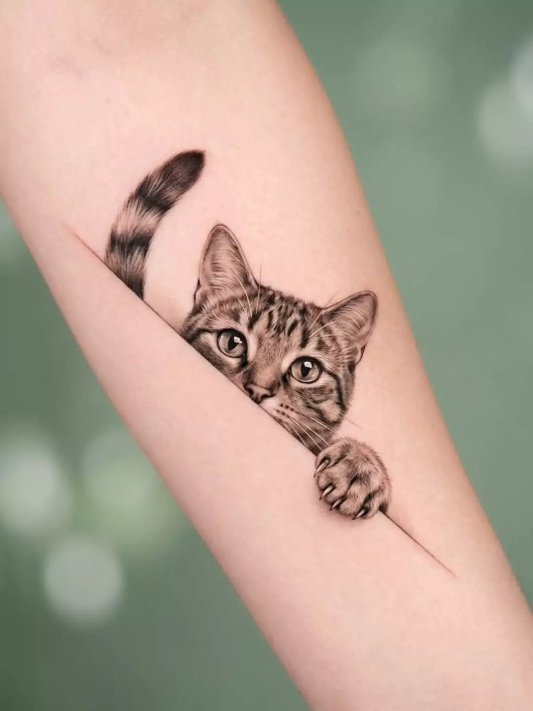 Tabby kitten tattoo on a leg designed to look like it is peeking out.