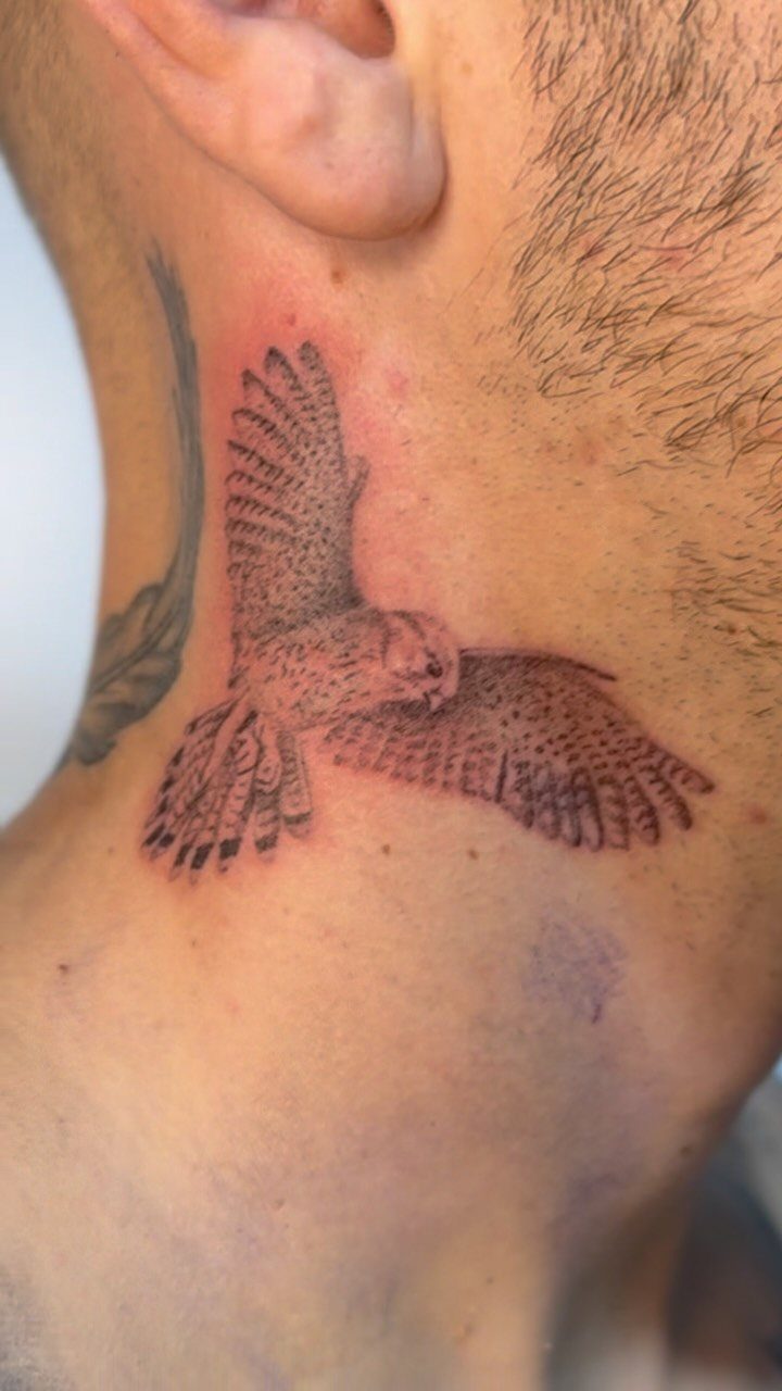 Bird of prey tattoo in flight on a man's neck.