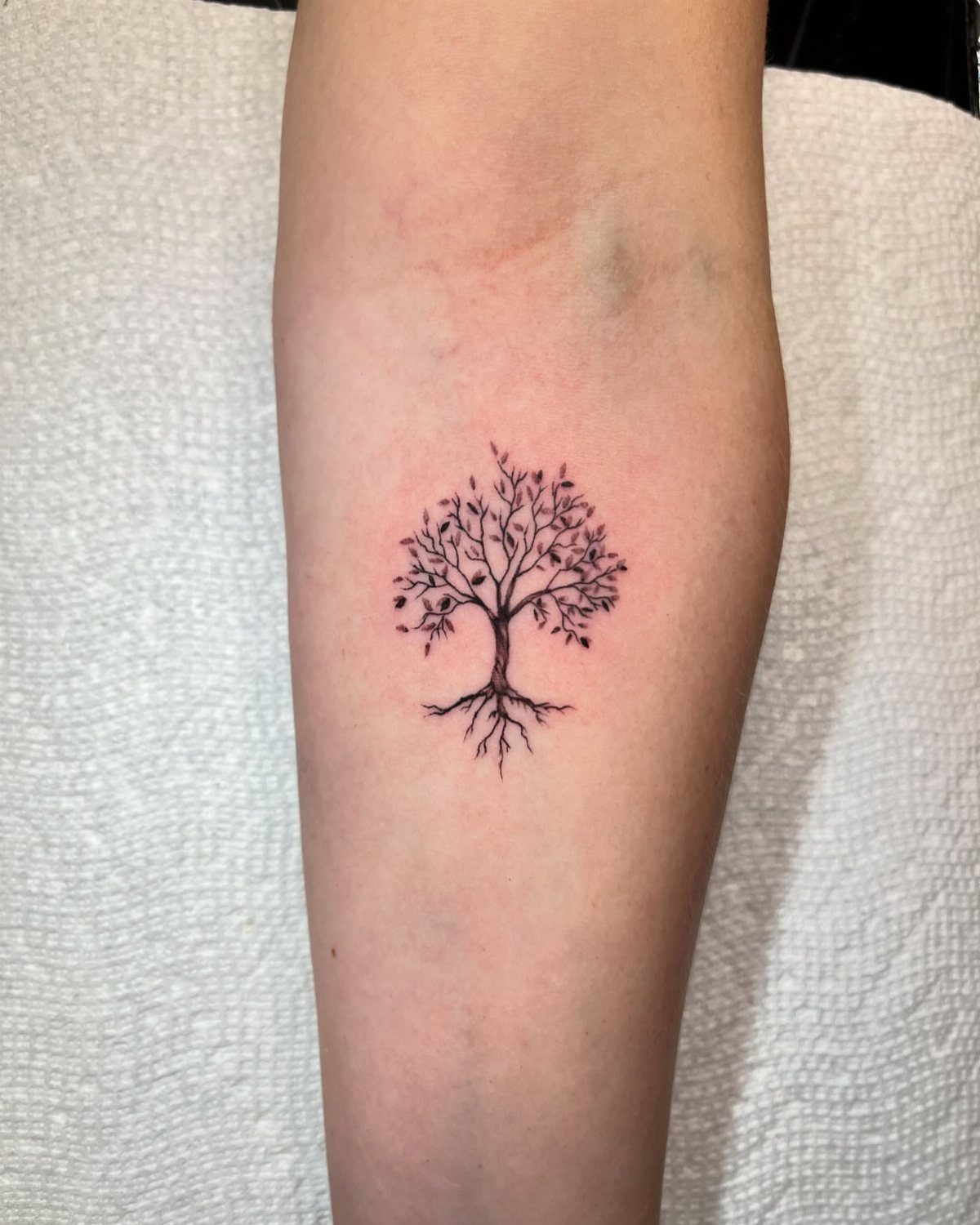 Small black ink tree tattoo with roots on a person's forearm