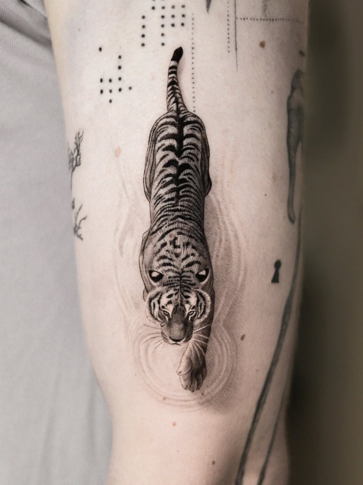 Tiger tattoo with ripple effects on a person's arm in black and grey ink