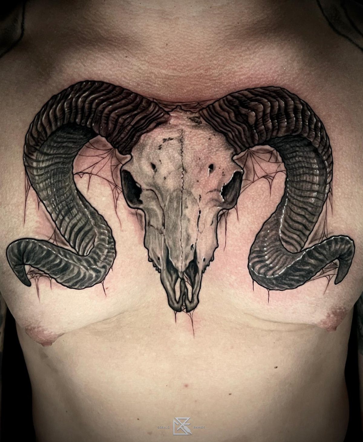 Ram skull tattoo with large curved horns centered on a person's chest
