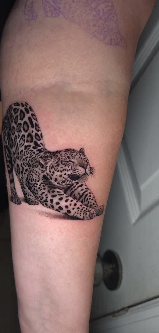 Leopard tattoo on a forearm showing a realistic leopard lying down in black ink.