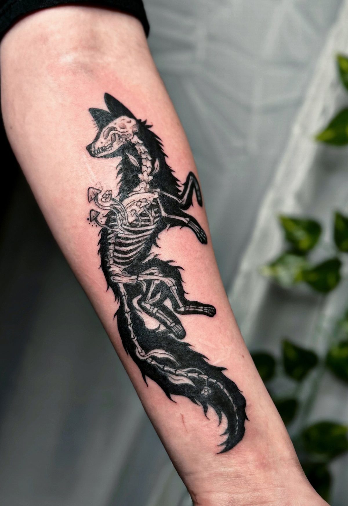 Wolf tattoo on forearm featuring a detailed animal skeleton integrated into the body.