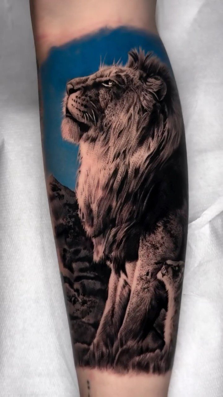 Detailed lion tattoo on a forearm with a bright blue background.